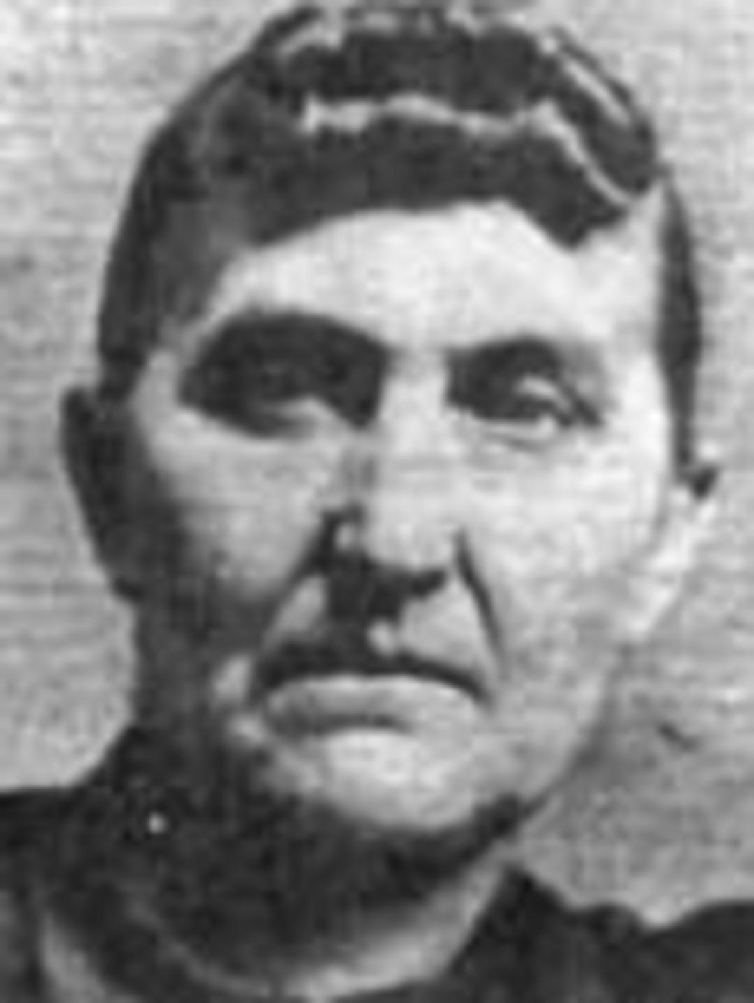 Mary Ann Bickmore (1840 - 1917) Profile